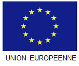 Fonds social européen et union européenne