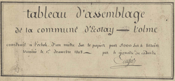 Extrait du tableau d'assemblage d'Ecotay-l'Olme. Archives départementales de la Loire, cote 1682 VT 7/38