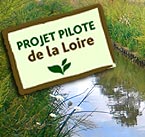 Le réaménagement des berges du Canal du Forez