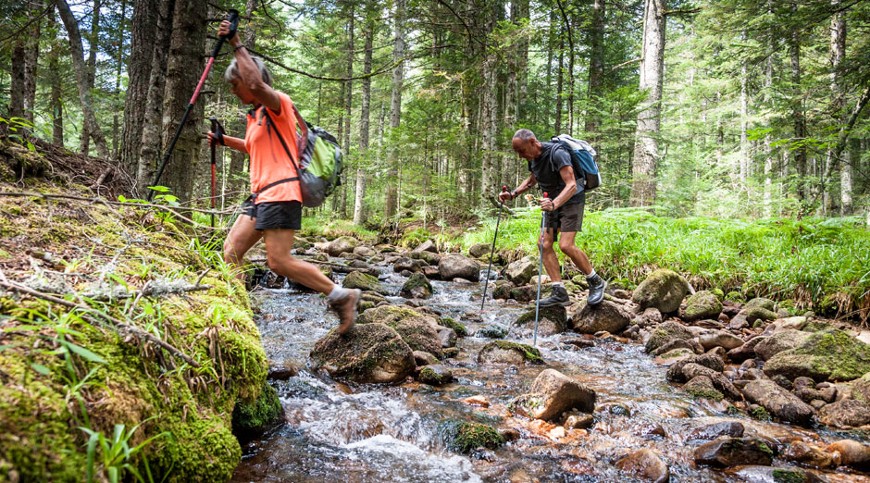 randonnee pedestre chalmazel