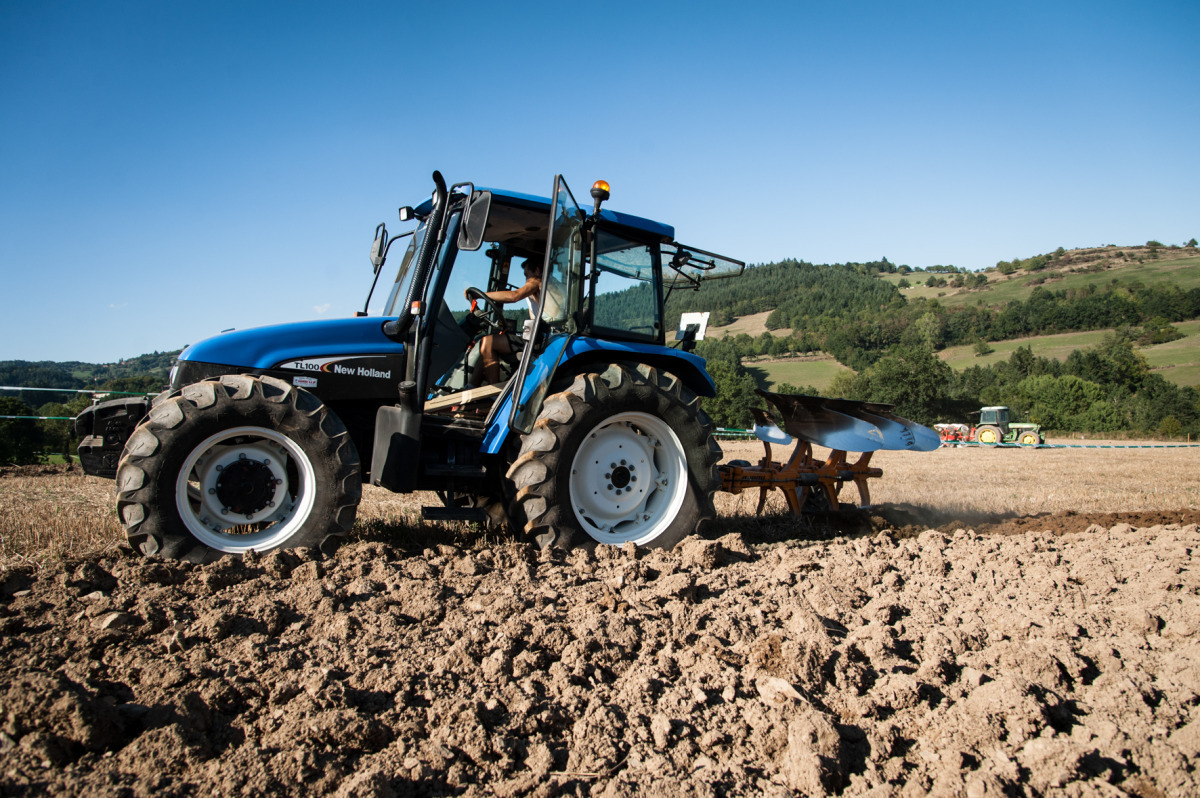 L'agriculture en fête dans la Loire