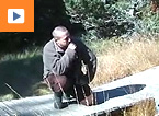 La tourbière de Gimel