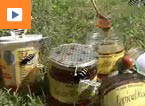 abeilles