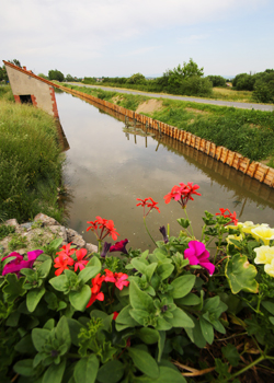 Canal du Forez