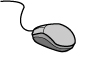 picto WEB