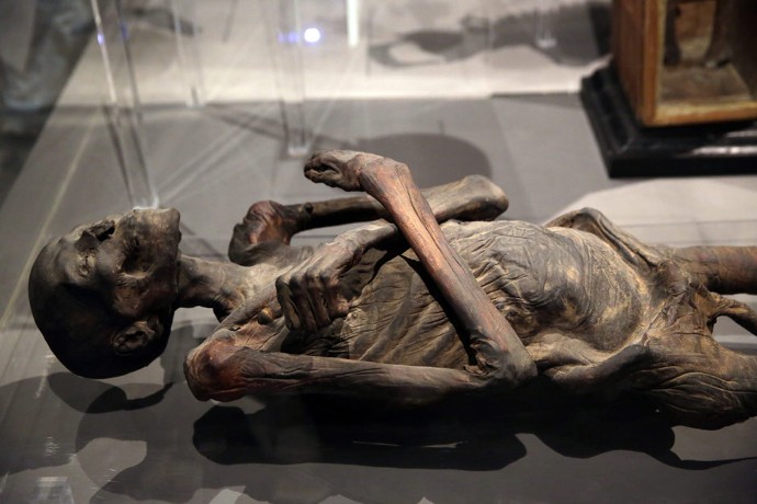 Une des salles du musée comporte des momies de diverses époques.
