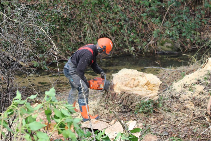 L’entretien de la ripisylve*, le désengorgement d’une rivière, l’abattage d’arbres sont des interventions courantes pour les techniciens de rivière, comme ici, sur les bords du Ruillat.