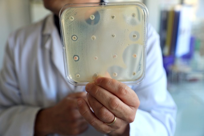 Une fois la bactérie isolée, plusieurs antibiotiques sont testés à l’aide d’un antibiogramme. Celui-ci permet de mesurer la capacité d’un panel d’antibiotiques à inhiber la croissance bactérienne, et donc de déterminer le meilleur traitement.