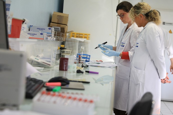Les analyses de sang permettent de détecter d’éventuelles maladies afin de prévenir les épidémies et de conserver des cheptels sains. Suite à la récente fusion avec les laboratoires vétérinaires de trois autres départements, Terana Loire a bénéficié d’équipements supplémentaires pour cette activité.
