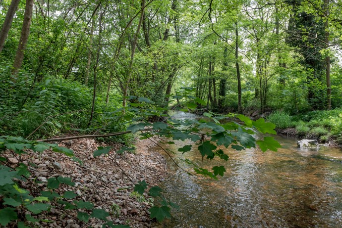 Au bout de cinq ans, quelques-uns des saumons nés ici reviendront pondre leurs œufs en eau douce dans la Loire.