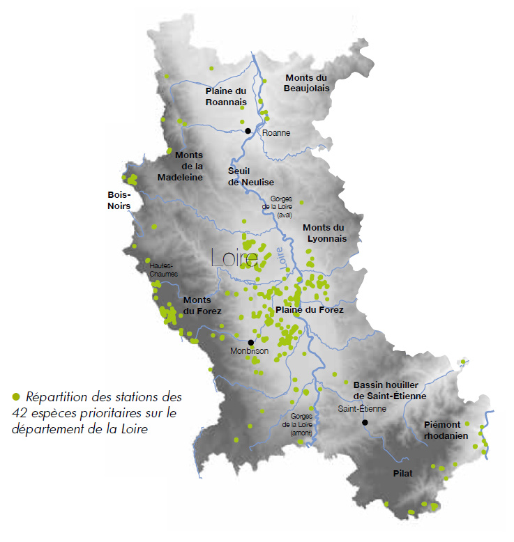 Répartition des stations des 42 espèces prioritaires sur le département de la Loire
