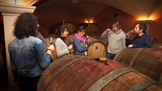 De dégustations en visites de vignobles, découvrez les vins d'exception produits dans le Pilat.