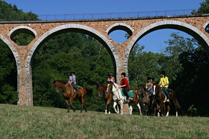 Découverte de la Loire à cheval