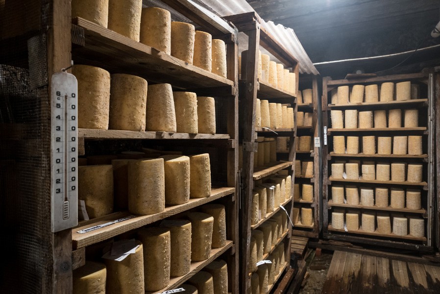 La fourme de Montbrison AOP, affinée ici dans des caves d&#39;altitude, est inscrite au patrimoine culturel immatériel national de l’Unesco.