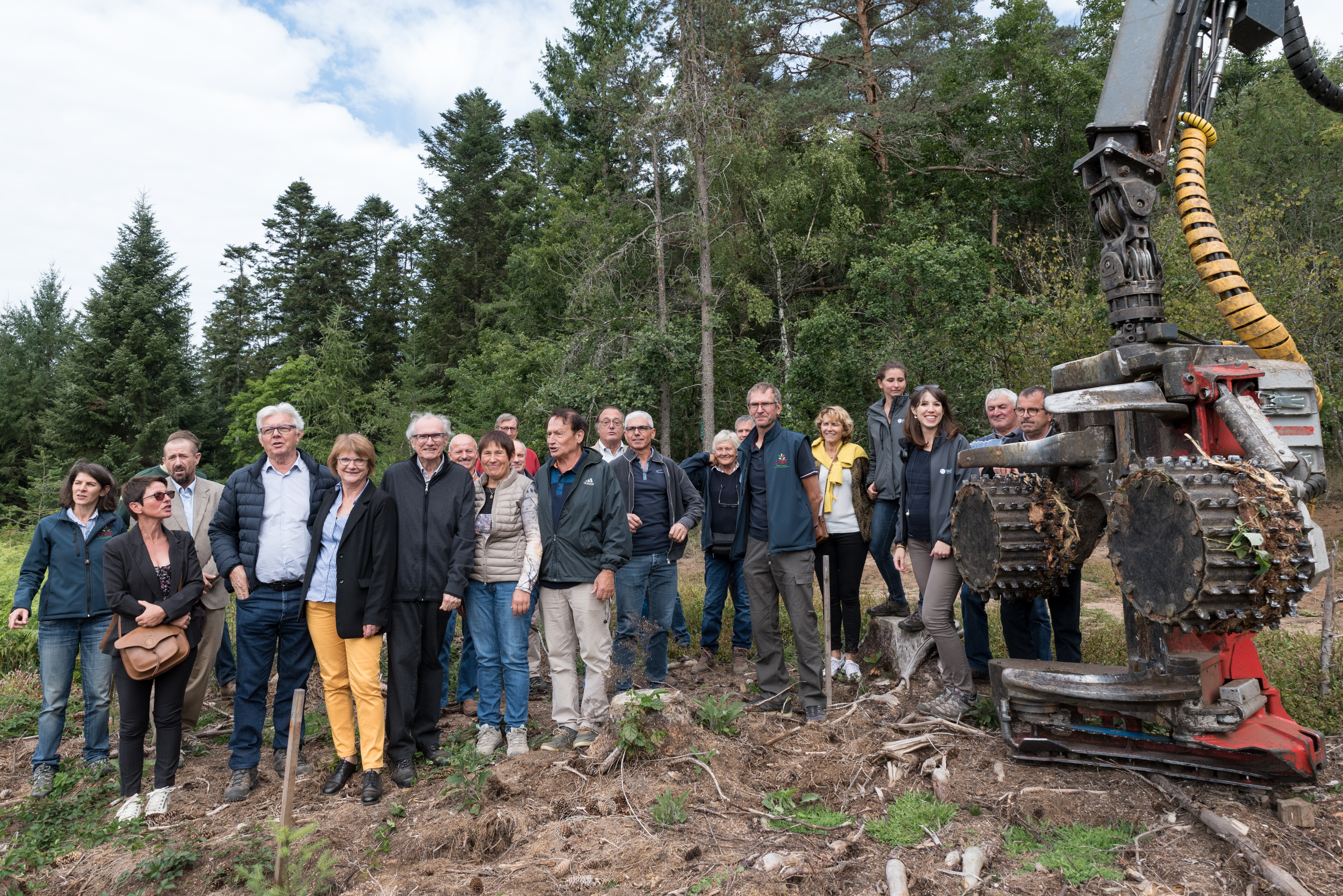 Filière forêt bois dans la Loire : vers un nouveau plan de soutien