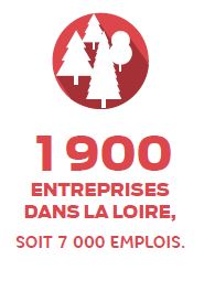 La filière forêt-bois représente 1 800 entreprises dans la Loire soit 7 000 emplois