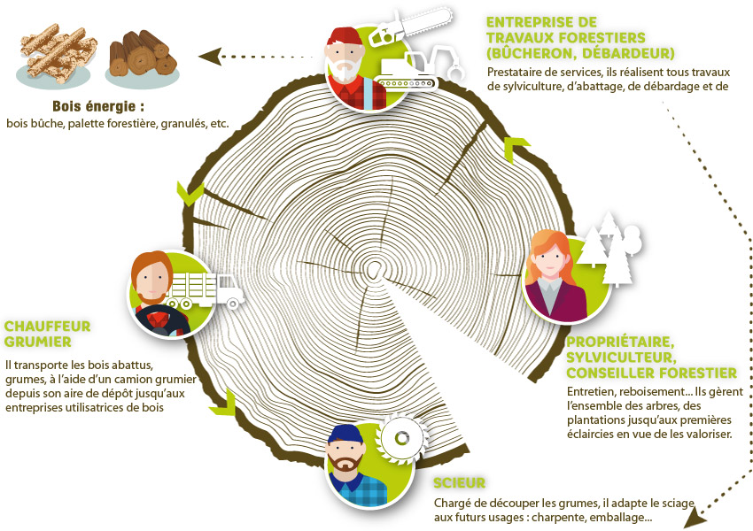 infographie1