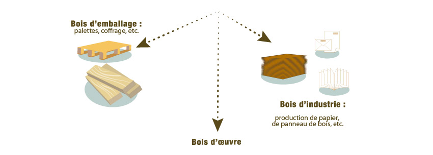 infographie2