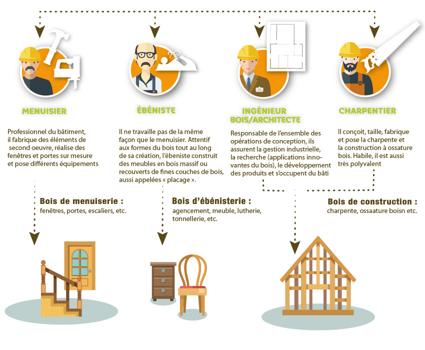 infographie3