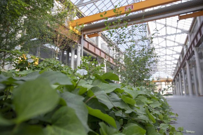 Novacieries à Saint-Chamond. © Pierre Grasset