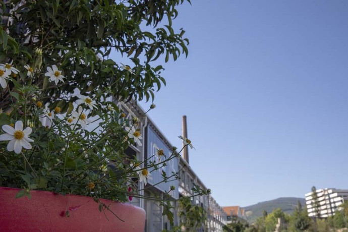 Novacieries à Saint-Chamond. © Pierre Grasset