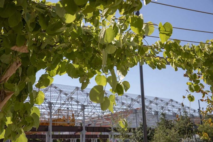 Novacieries à Saint-Chamond. © Pierre Grasset