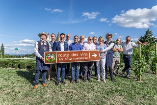 Route des vins