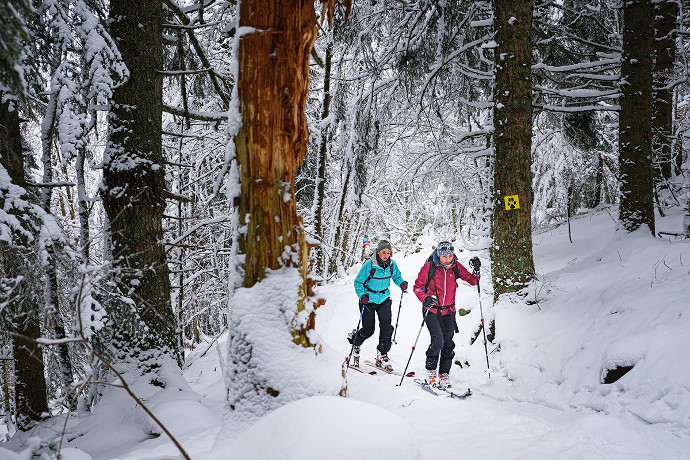 10 à 20 cm de neige suffisent à rendre praticable l’itinéraire.