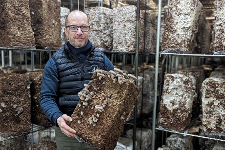 Champignonnière Grammond Shiitake du Villard