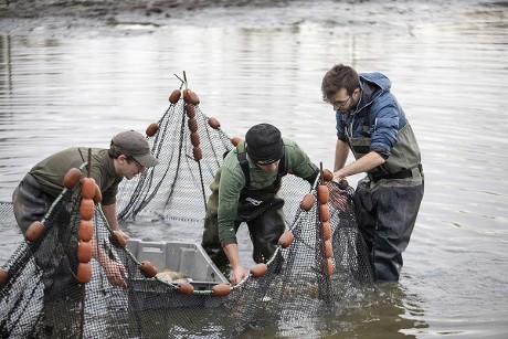 pêche étangs de la Loire