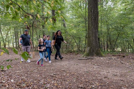 Forêt de Lespinasse