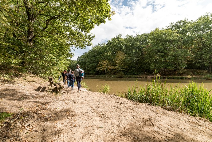 Située à 300 mètres d’altitude, Lespinasse est une forêt de plaine. Ce type de couvert se rencontre plus fréquemment en Bourgogne ou dans le massif parisien.