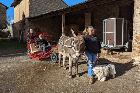 Balade en calèche dans le Roannais