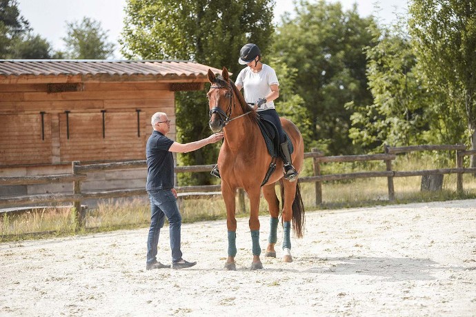 Chaque selle est ajustée au dos de l'animal.