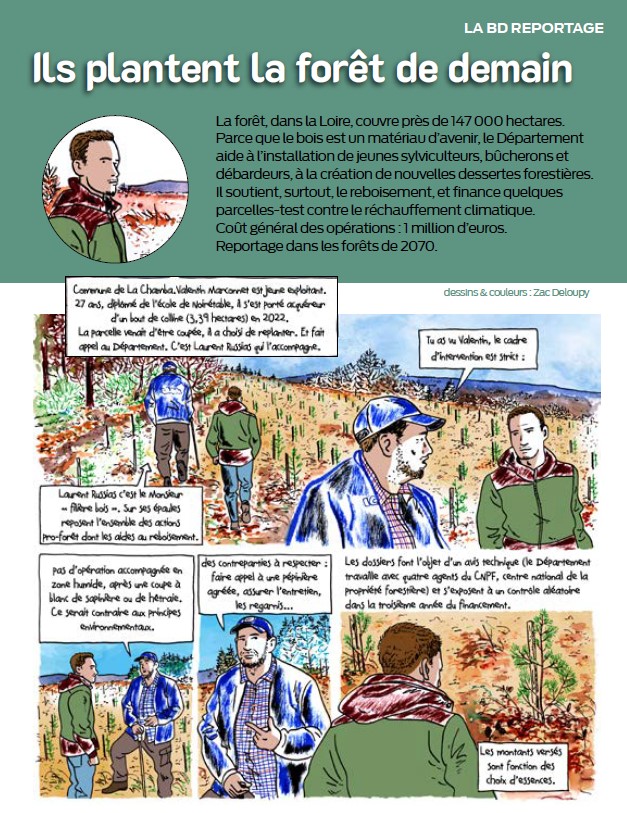 BD forêt