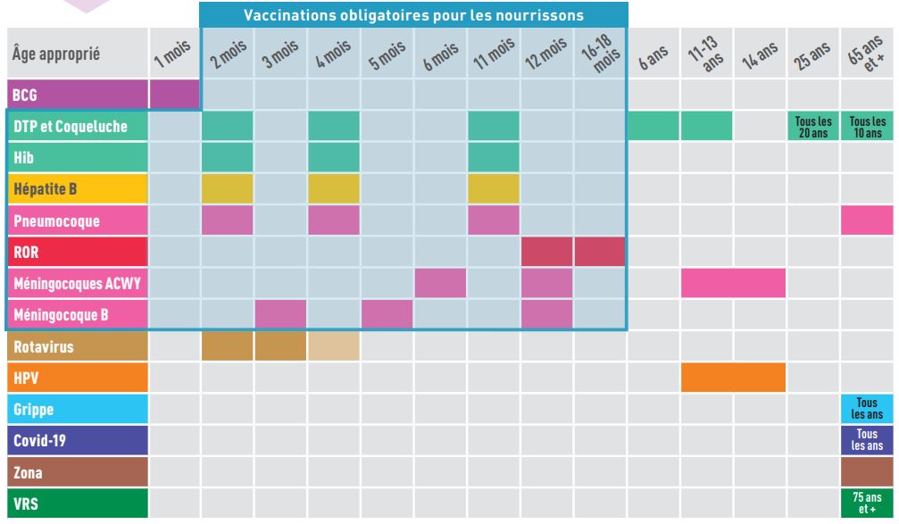Calendrier de vaccination simplifié. Êtes-vous à jour de vos vaccins ?