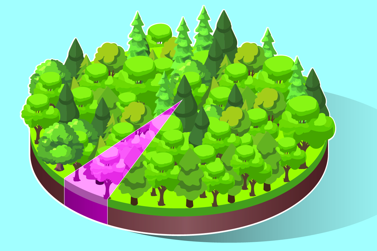 Plan de travail 1INFO 169