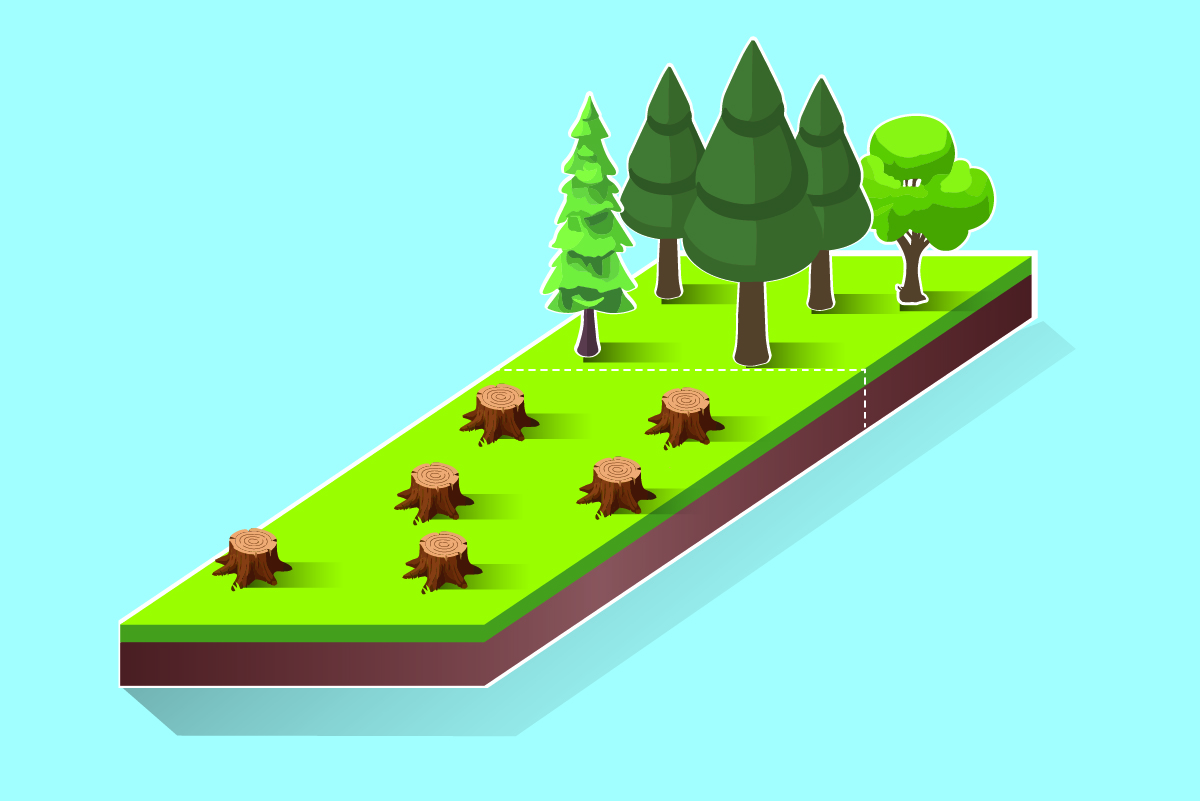 Plan de travail 3INFO 169