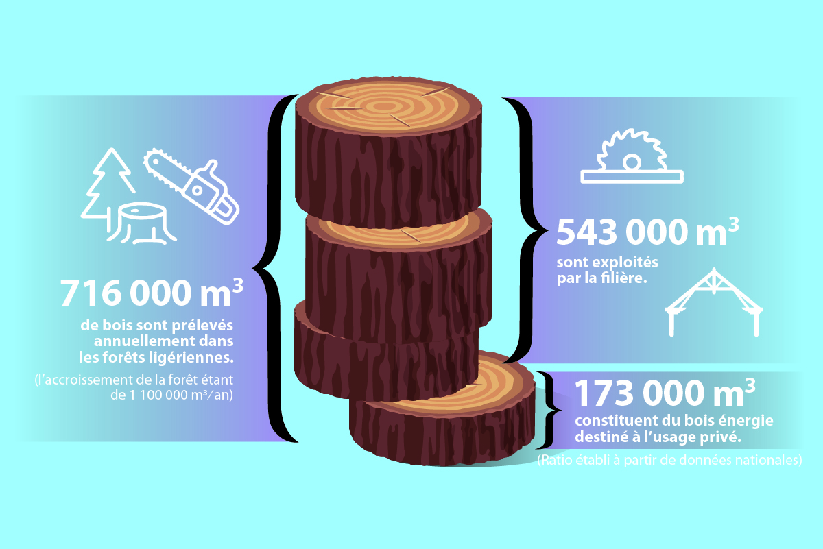 Plan de travail 4INFO 169