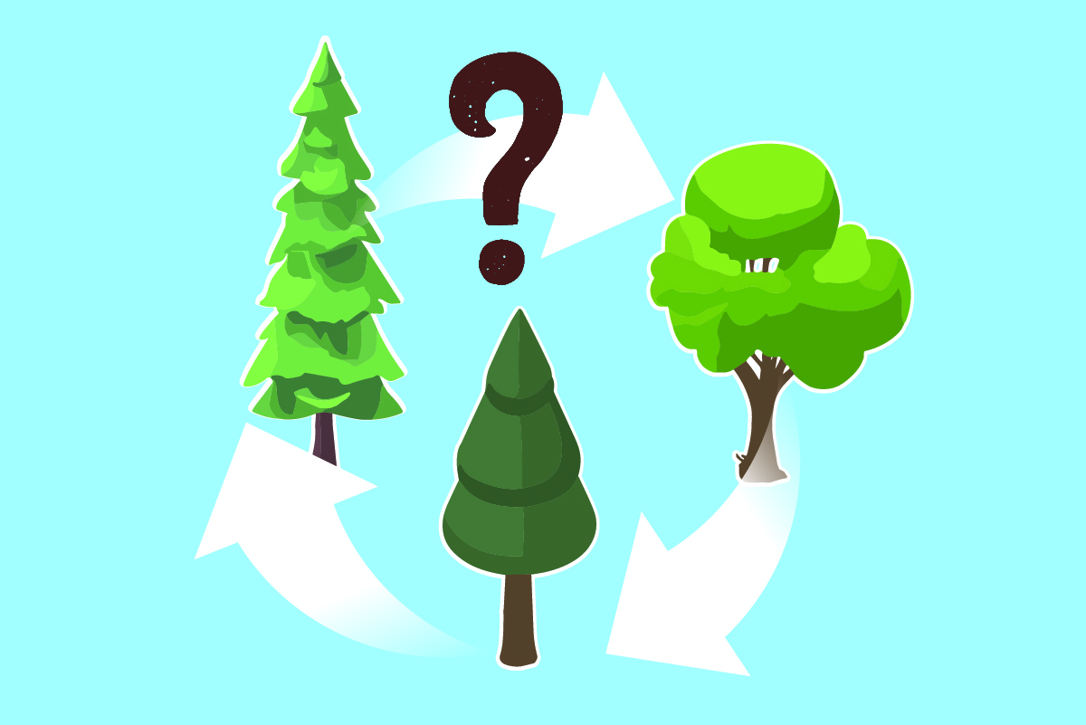 Plan de travail 5INFO 169