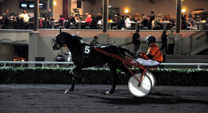 Hippodrome - ©Evelyne Deveaux