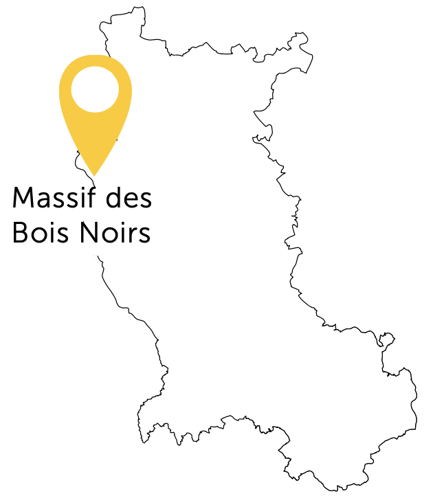 Carte Massif des Bois Noirs