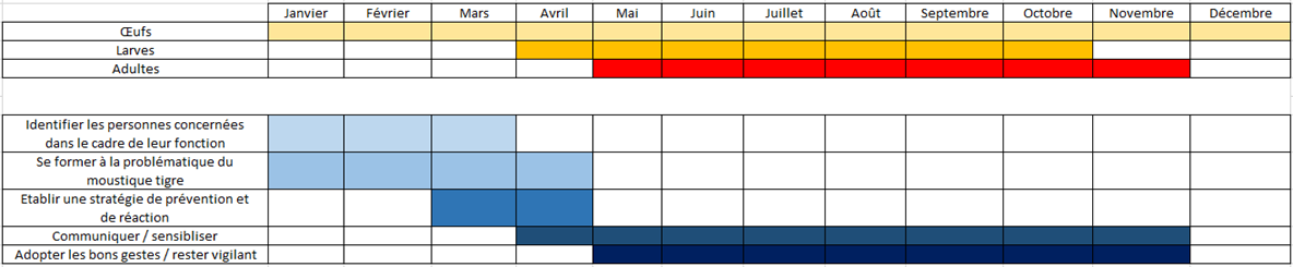 Calendrier d'actions : oeufs toute l'année - larves d'avril à octobre - adultes de mai à novembre